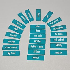 AMI Continental Classification Cards 40-4285