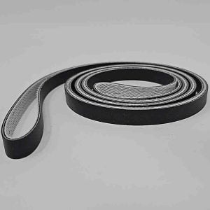 AMI Magizine belt 40-4259