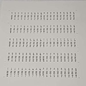 AMI Record Basket decal set 40-4276