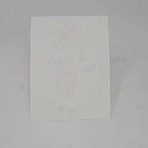 AMi Decal 39-6645
